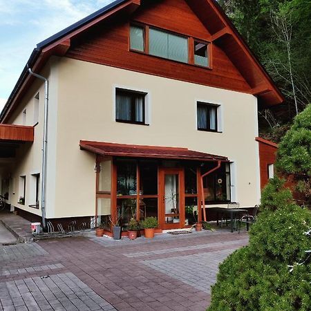 Seeblick Krippenstein Obertraun Exterior photo