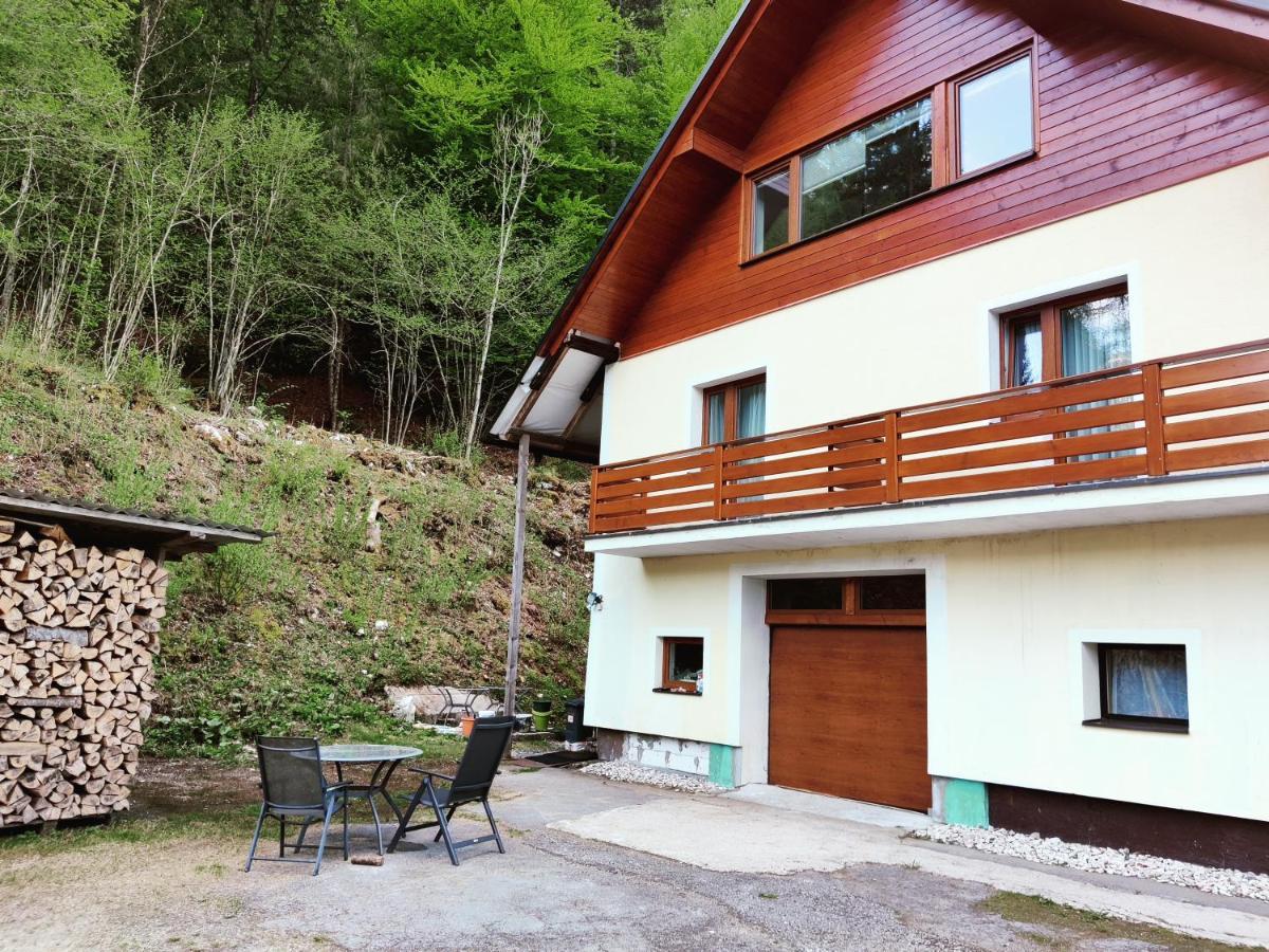 Seeblick Krippenstein Obertraun Exterior photo